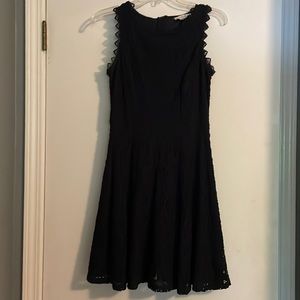 Navy lace skater dress
